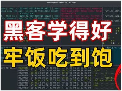 黑客在线接单必备资料汇总攻略「黑客在线接单好技术」