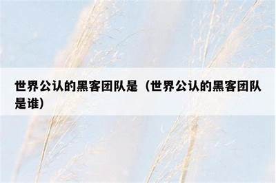 24小时黑客免费接单优质技术分享「24小时黑客在线接单交易平台」